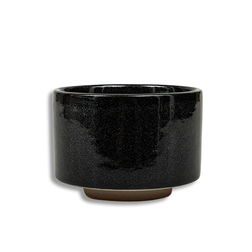 Black ceramic planter on a white background