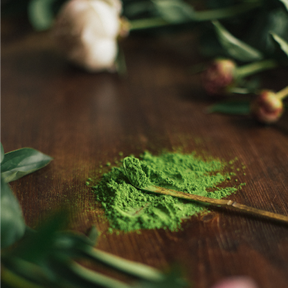 Moya Matcha Dark Chashaku – Bamboo Scoop for Authentic Matcha Prep