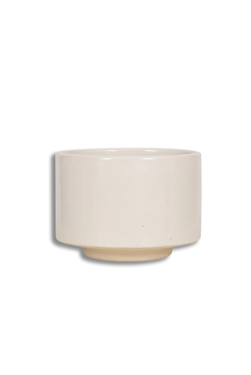 Matcha Bowl - Matchawan Fuyu