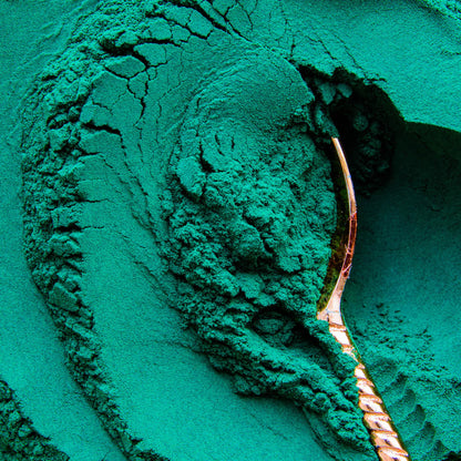 RAW Nice Organic Green Spirulina Powder – Natural Energy & Immunity Superfood